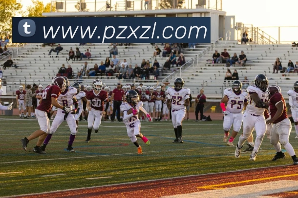 尊龙凯时平台生态图